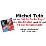 24-01-2012 - mcs_marketing - michel_telo - banner.jpg